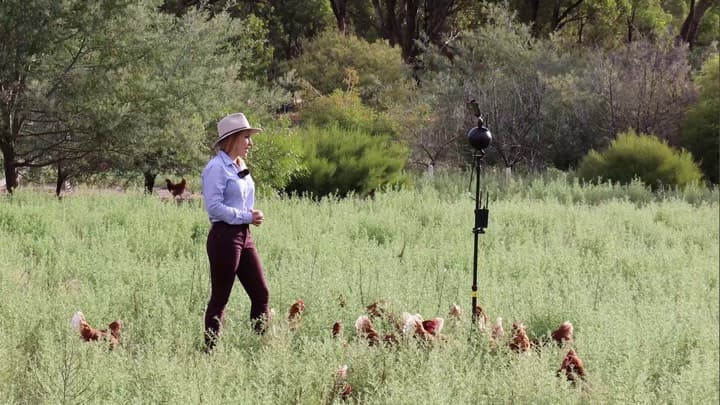 Filming 3D virtual reality biosecurity training in a free-range paddock